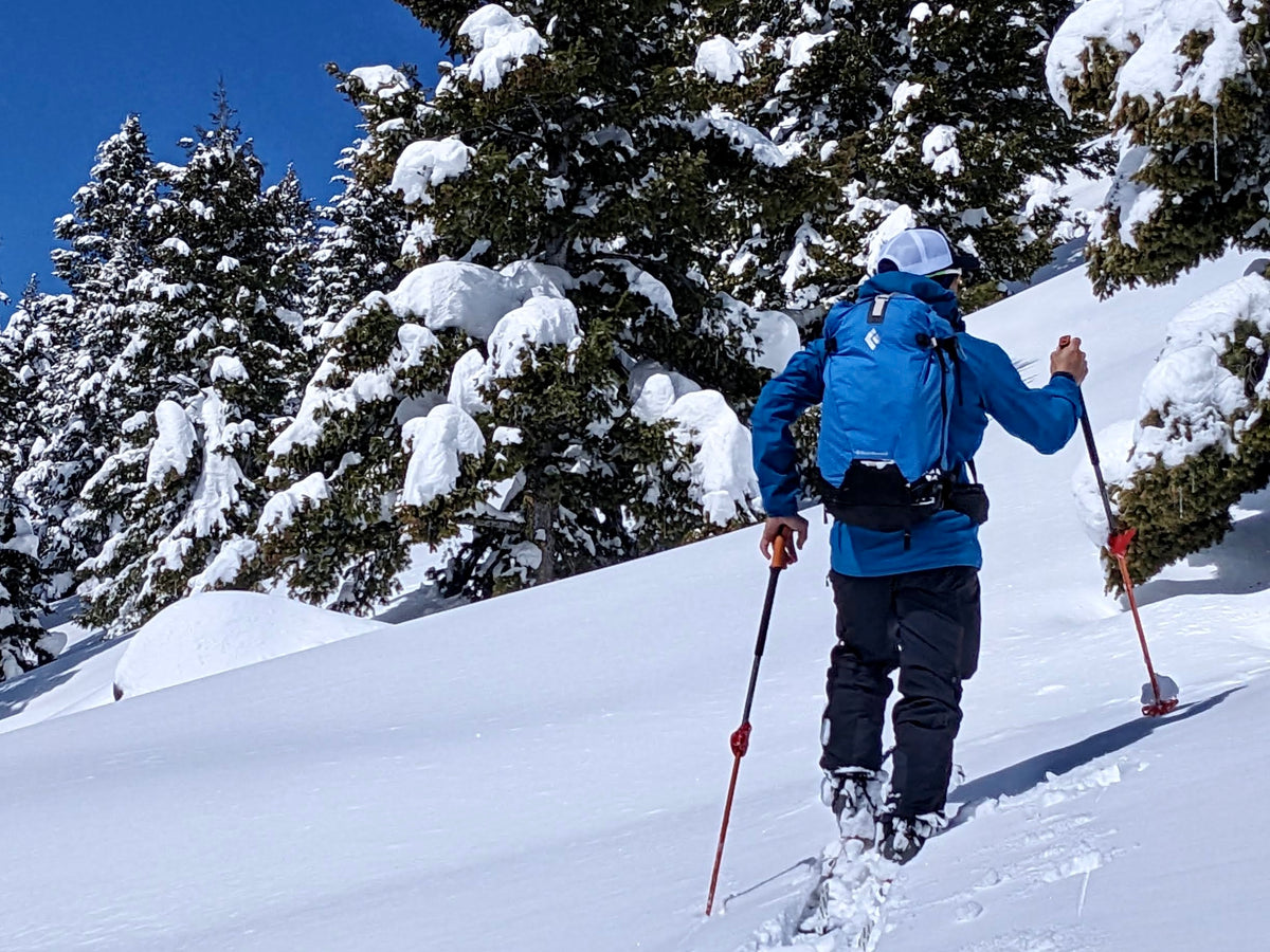 Introduction to Backcountry Ski Touring for 1-2 Participants – Avalanche  Science